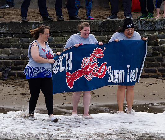 SONC: Polar Plunge