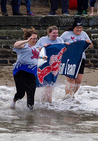 SONC: Polar Plunge