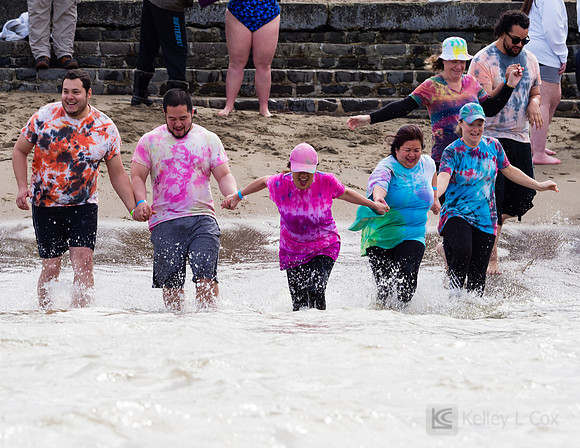 SONC: Polar Plunge