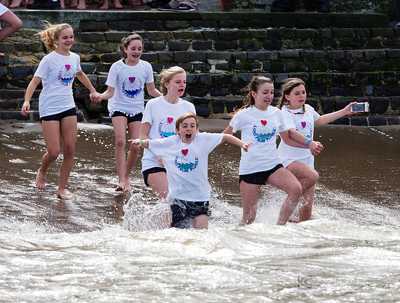 SONC: Polar Plunge