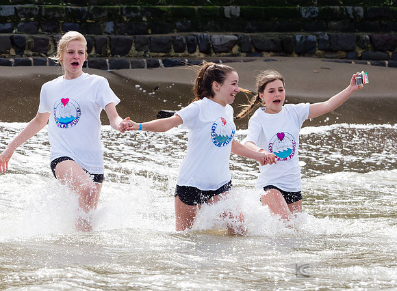 SONC: Polar Plunge