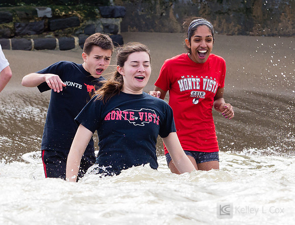 SONC: Polar Plunge