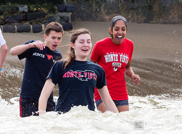 SONC: Polar Plunge