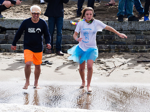SONC: Polar Plunge