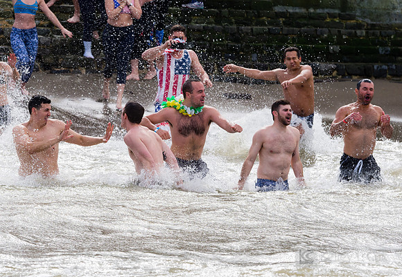 SONC: Polar Plunge