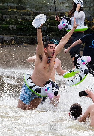 SONC: Polar Plunge