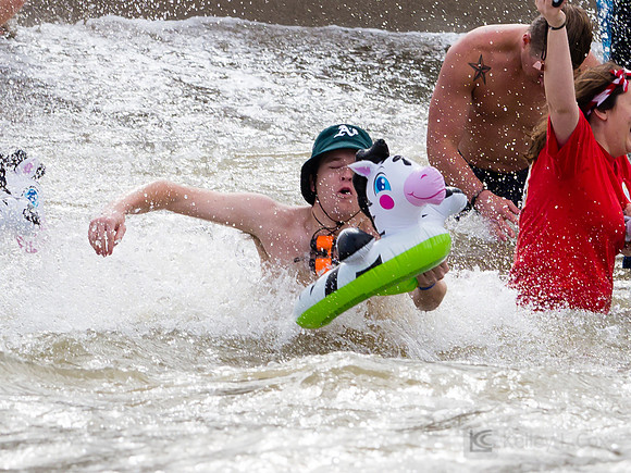 SONC: Polar Plunge