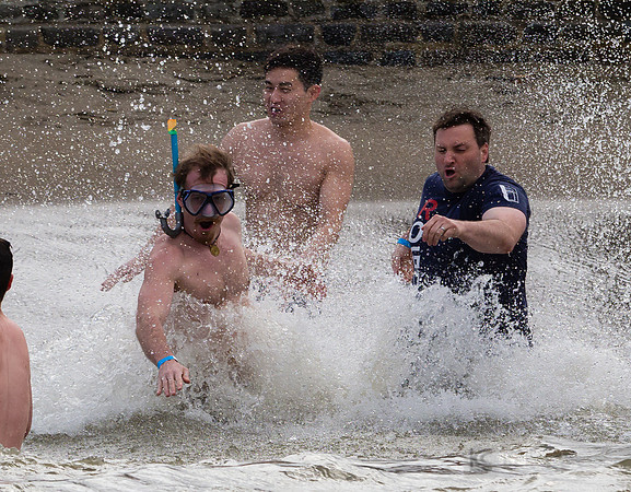 SONC: Polar Plunge
