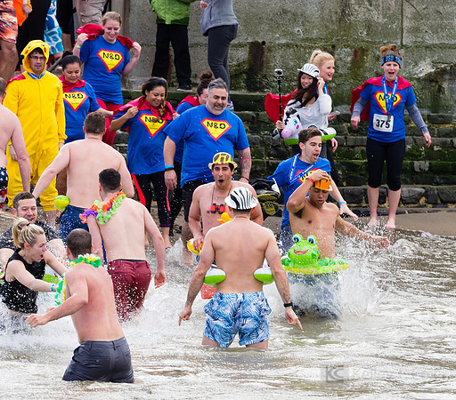 SONC: Polar Plunge
