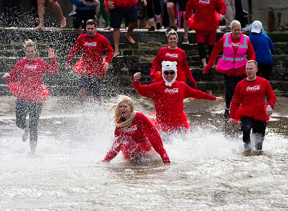 SONC: Polar Plunge