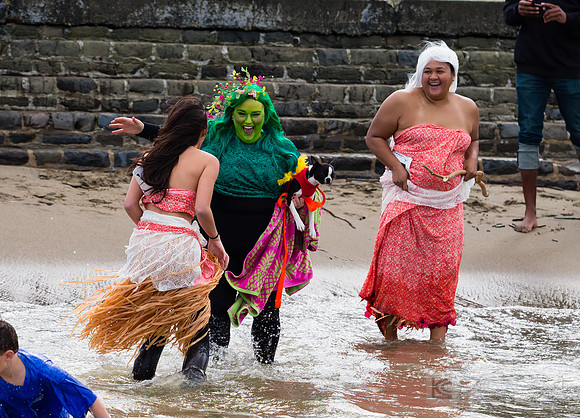 SONC: Polar Plunge
