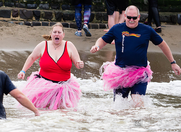 SONC: Polar Plunge