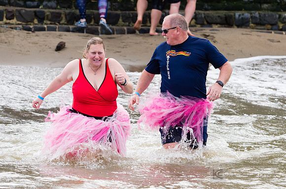 SONC: Polar Plunge