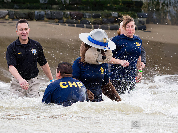 SONC: Polar Plunge