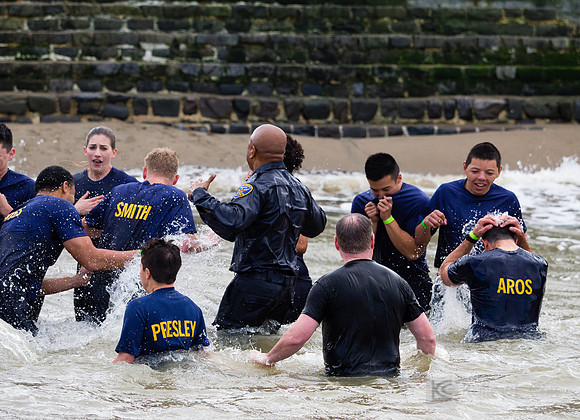 SONC: Polar Plunge