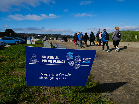 SONC: Polar Plunge