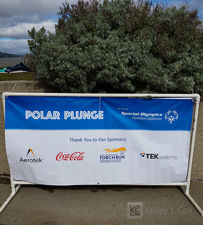 SONC: Polar Plunge