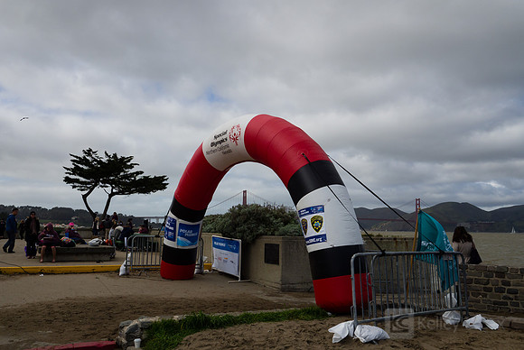SONC: Polar Plunge