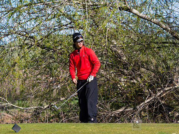Golf: Tim Tierney Pioneer Shootout