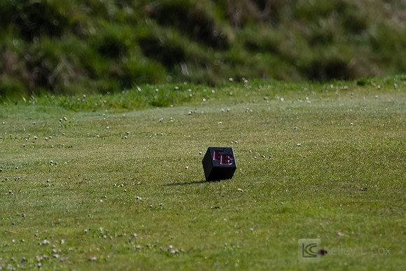 Golf: Tim Tierney Pioneer Shootout