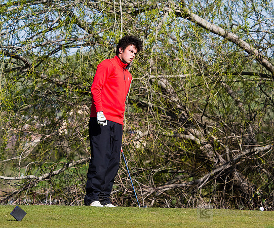 Golf: Tim Tierney Pioneer Shootout