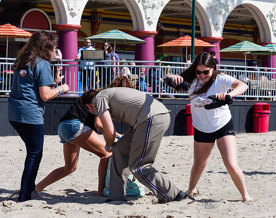 SONC: Polar Plunge