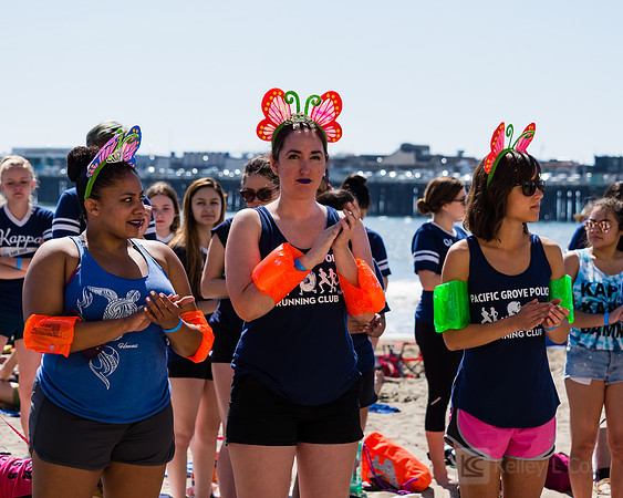 SONC: Polar Plunge
