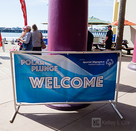 SONC: Polar Plunge