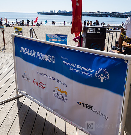 SONC: Polar Plunge