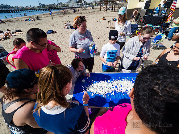SONC: Polar Plunge