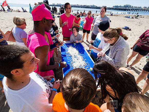 SONC: Polar Plunge