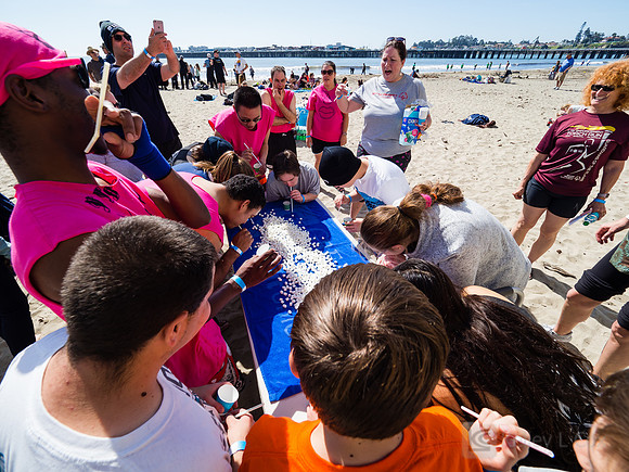 SONC: Polar Plunge