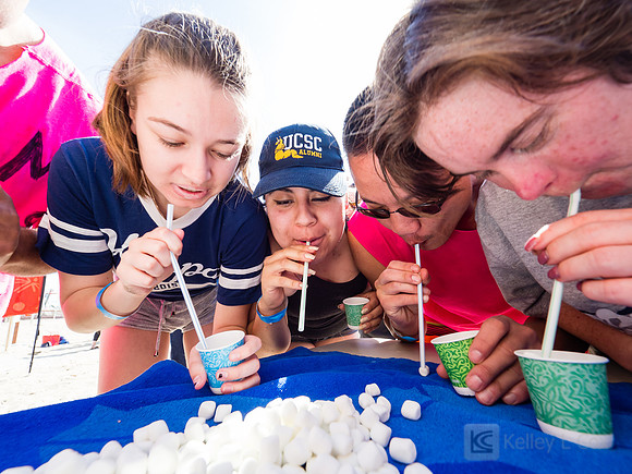 SONC: Polar Plunge