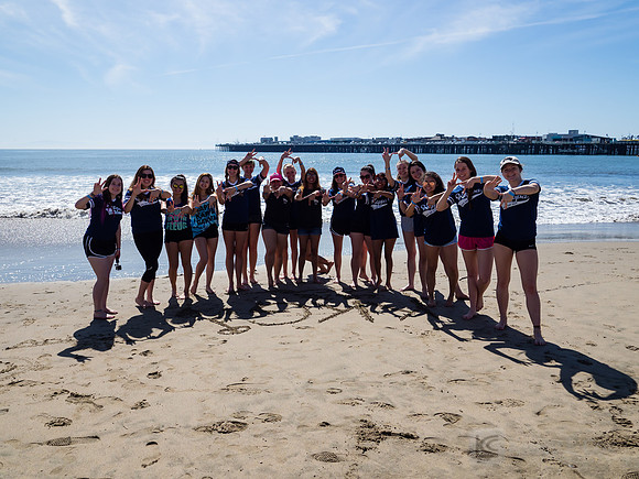 SONC: Polar Plunge