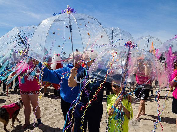 SONC: Polar Plunge