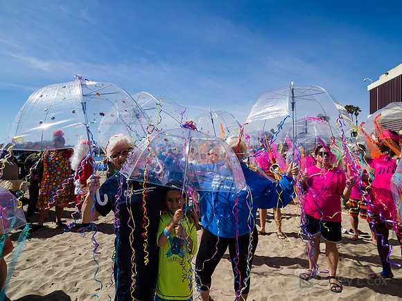 SONC: Polar Plunge