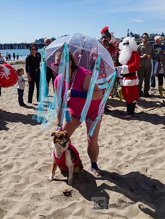 SONC: Polar Plunge