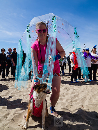 SONC: Polar Plunge