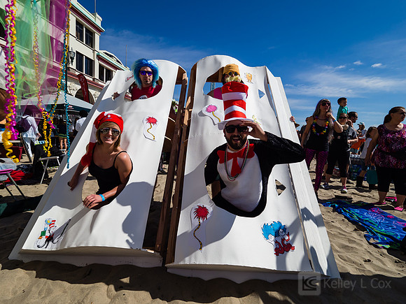 SONC: Polar Plunge