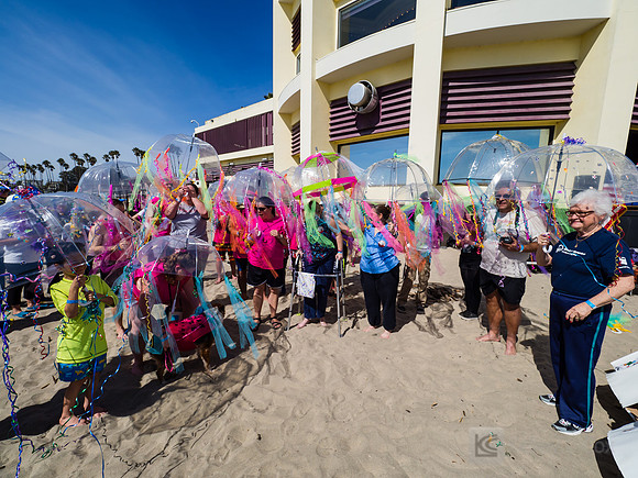 SONC: Polar Plunge