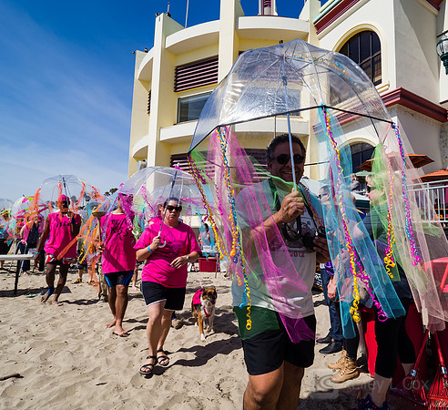 SONC: Polar Plunge