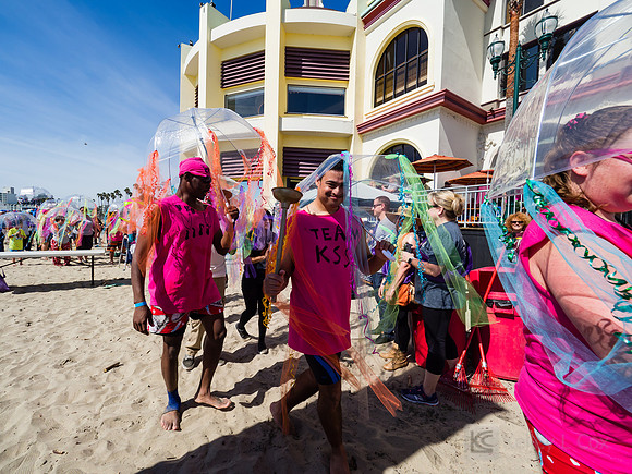 SONC: Polar Plunge