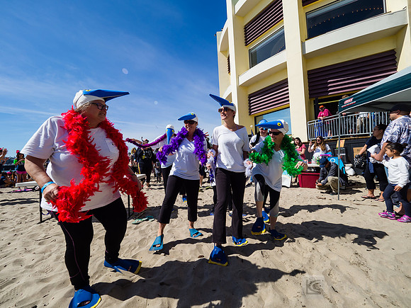 SONC: Polar Plunge