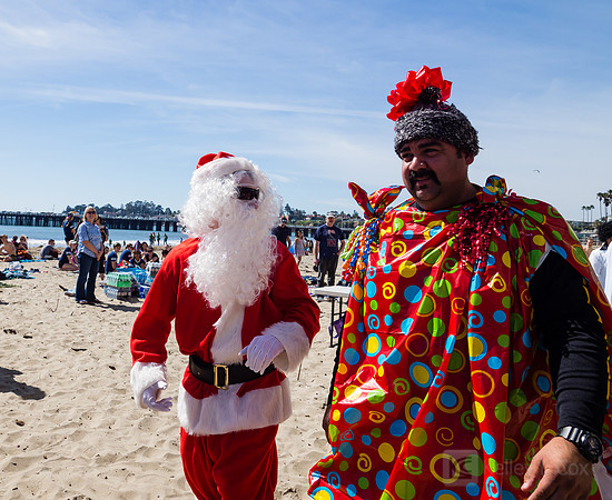 SONC: Polar Plunge
