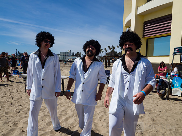 SONC: Polar Plunge