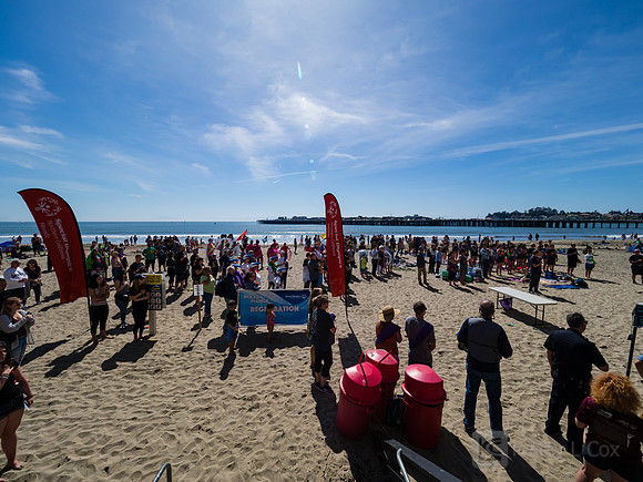 SONC: Polar Plunge