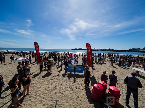 SONC: Polar Plunge