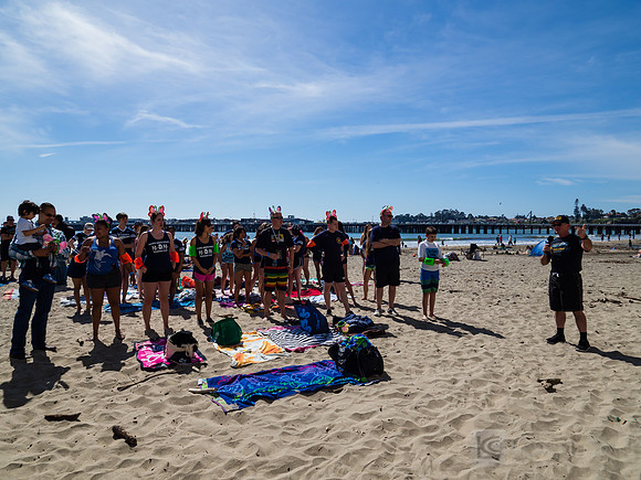 SONC: Polar Plunge