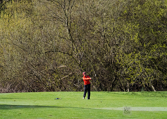 Women's Golf: Tim Tierney Pioneer Shootout