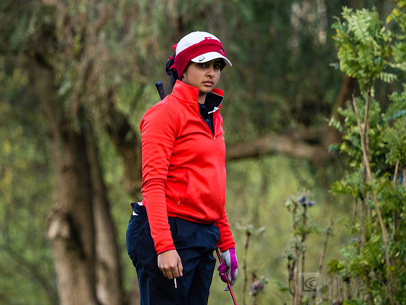 Women's Golf: Tim Tierney Pioneer Shootout